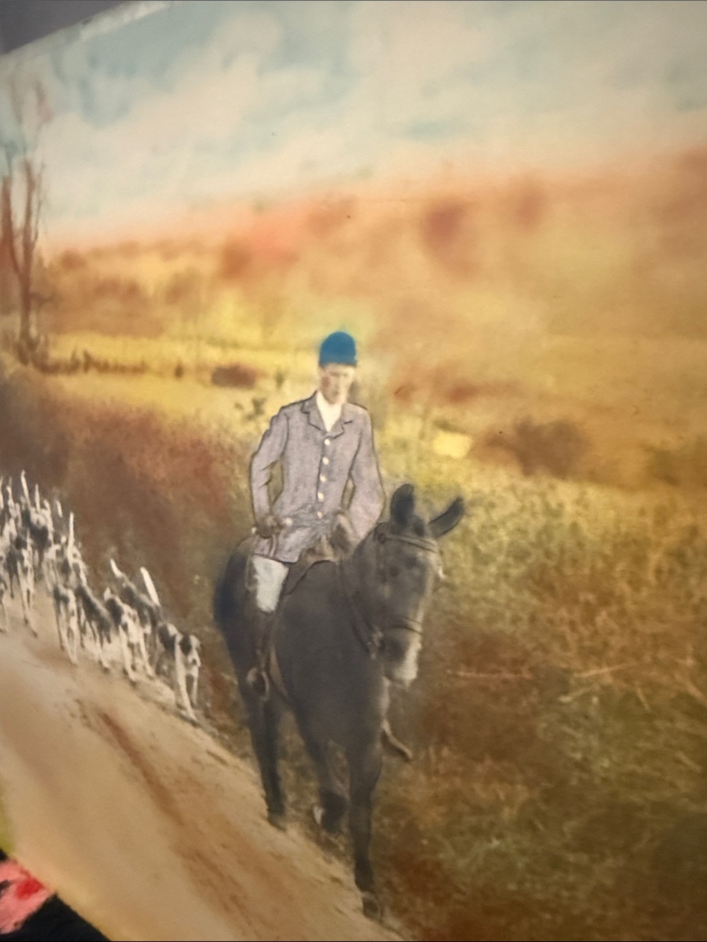 Very interesting antique picture of horse and dogs